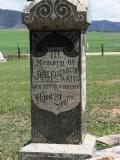 image of grave number 780905